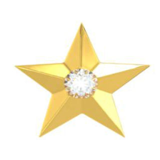 18K Gold Star Diamond