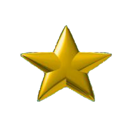18K Gold Star