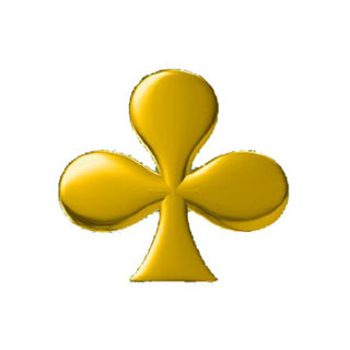 18K Gold Club