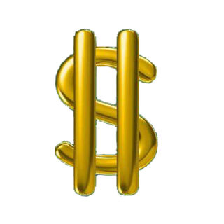 18K Gold Dollar sign